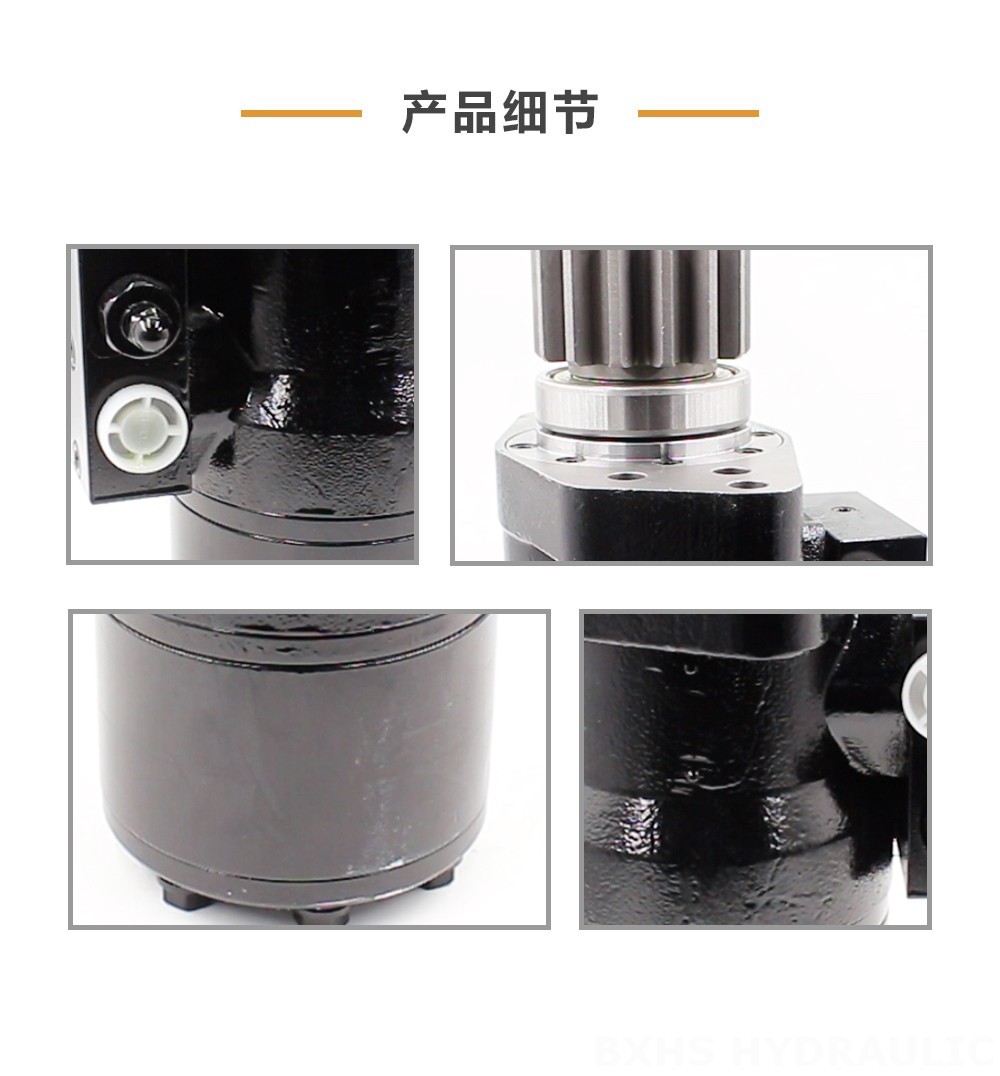 博信华盛BMR摆线液压马达 50 cc/r 38 Lpm 液压马达
